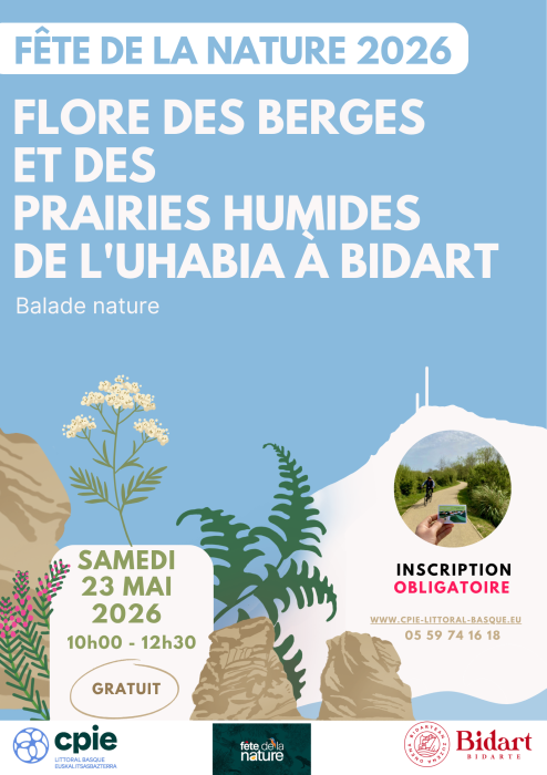 Fête de la nature - Flores des berges et des p ...