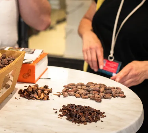 Visite guidée : Chocolat gourmand