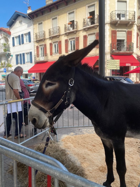 Nos terroirs en fête