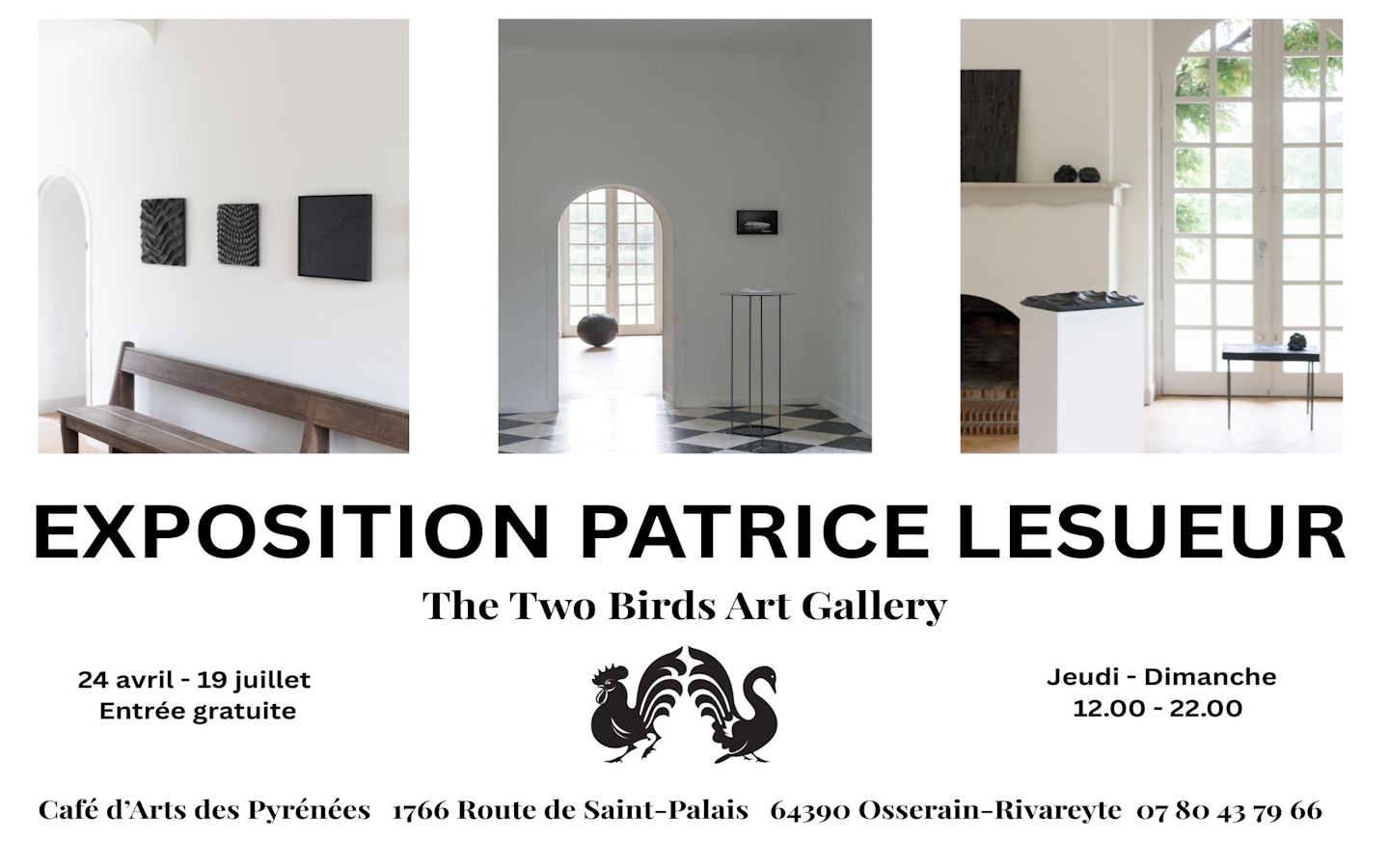 Exposition de Patrice Lesueur