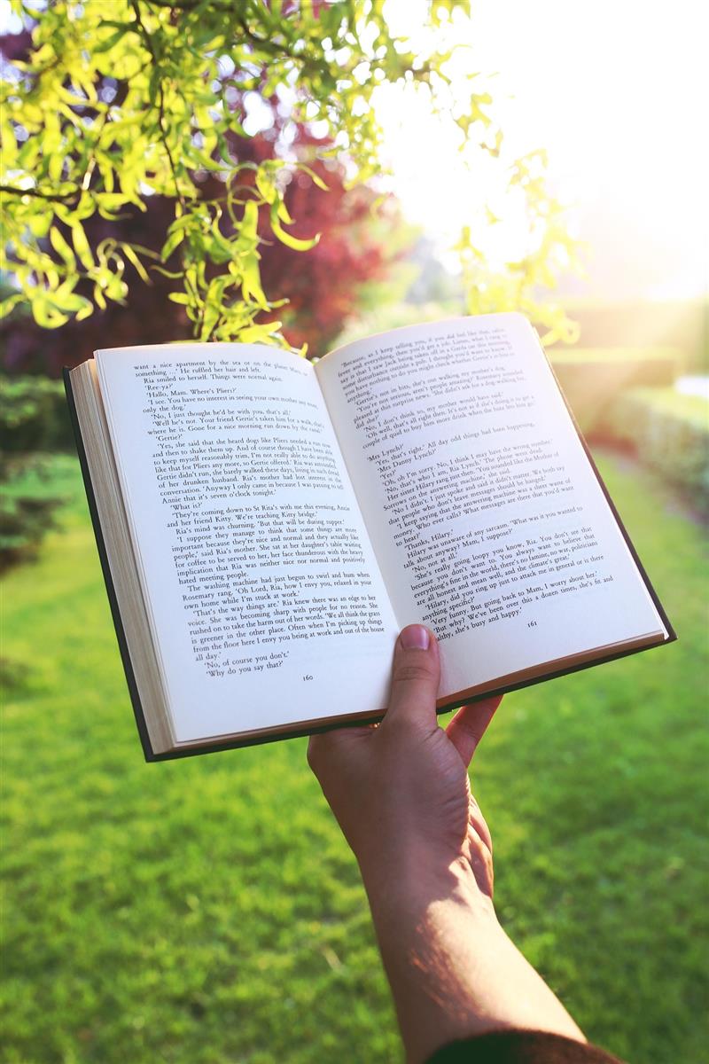 D'un jardin à un autre, lecture sur l'Orientalisme