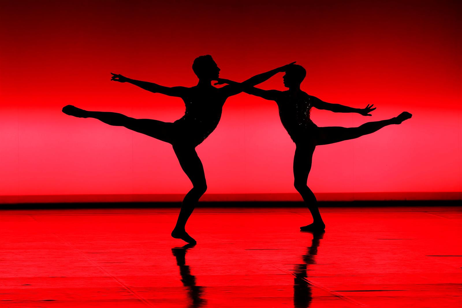 Le Temps d'Aimer la Danse - Ballet de l’Opéra  ...