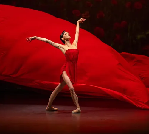 Le Temps d'Aimer la Danse - Lucia Lacarra Ballet - Lost Letters