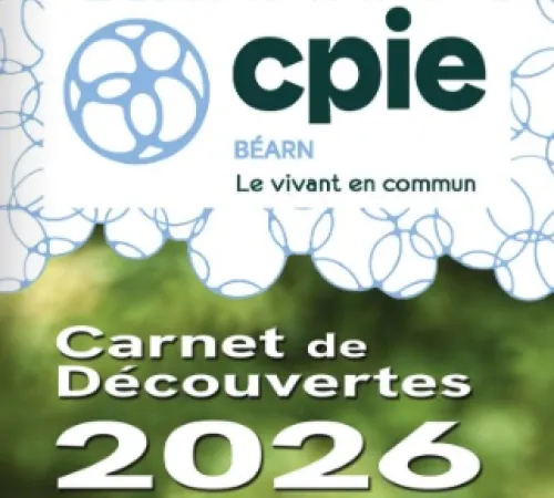 Découverte tri de la laine - Sortie CPIE
