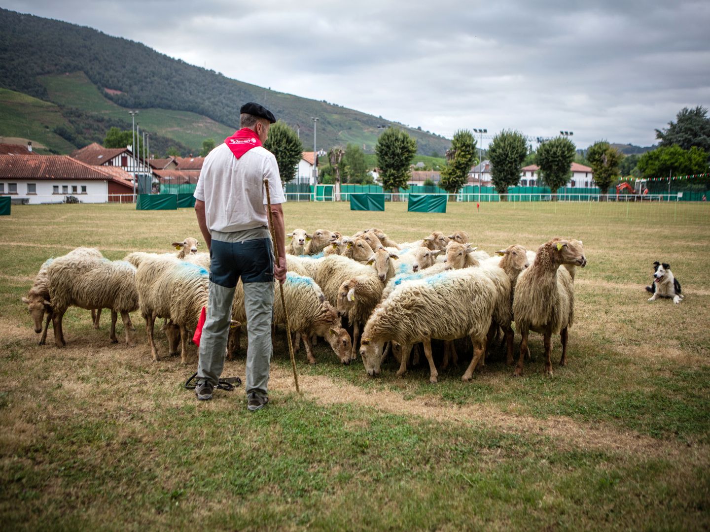 Foire gastronomique et artisanale et concours  ...