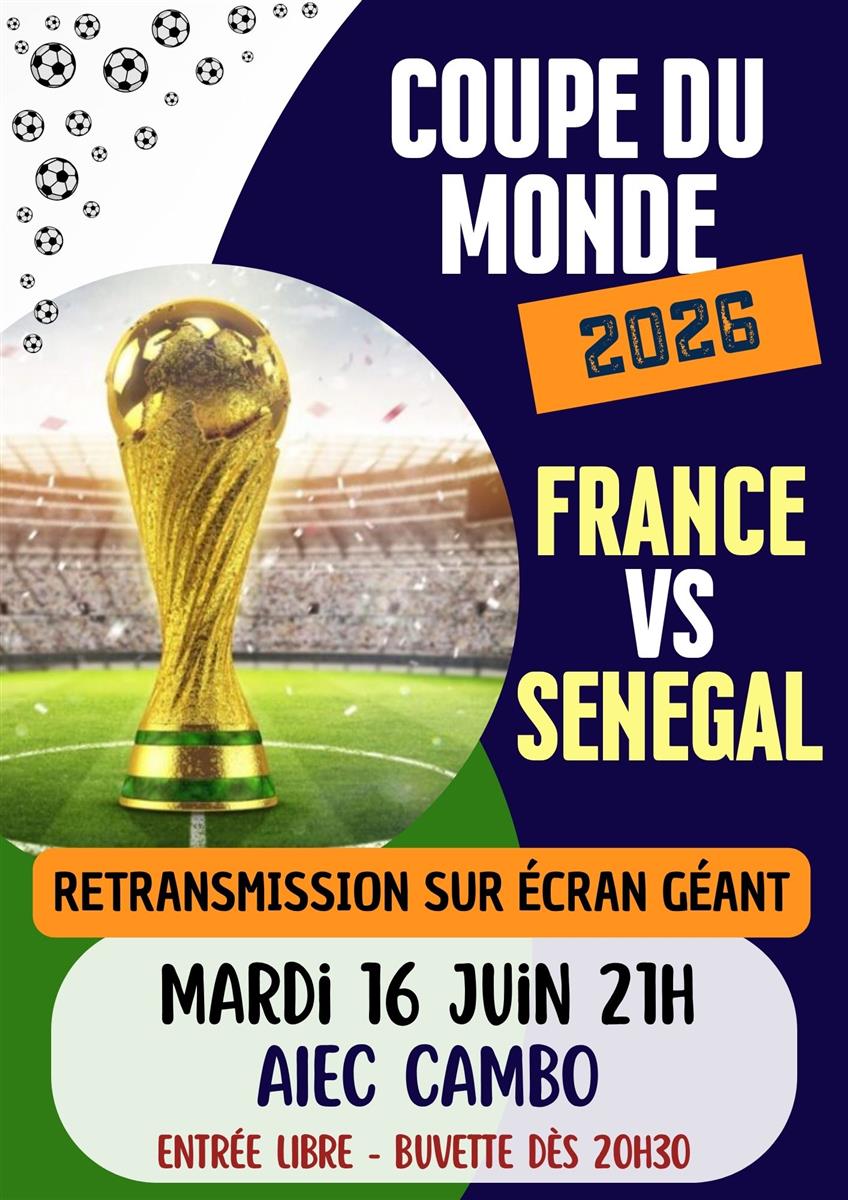 Retransmission coupe du monde France vs Senegal