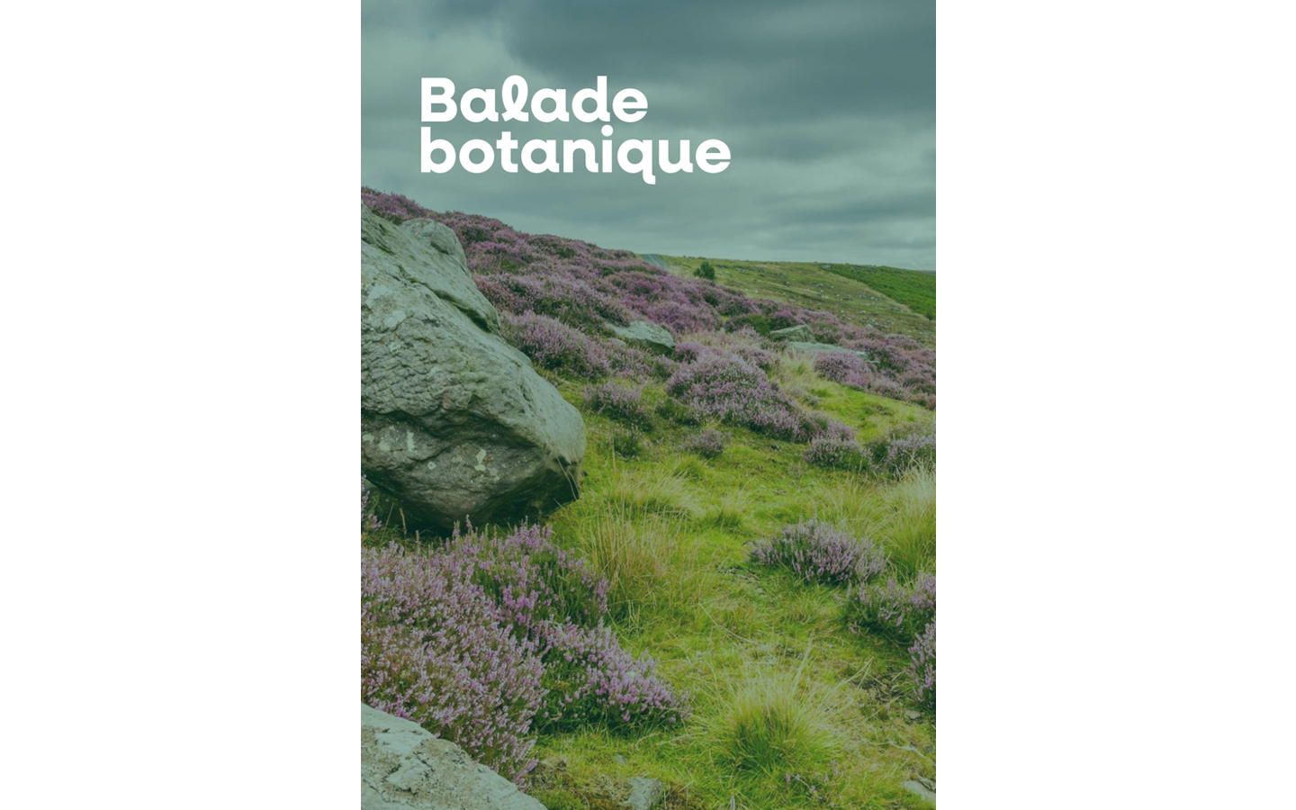 Balade botanique