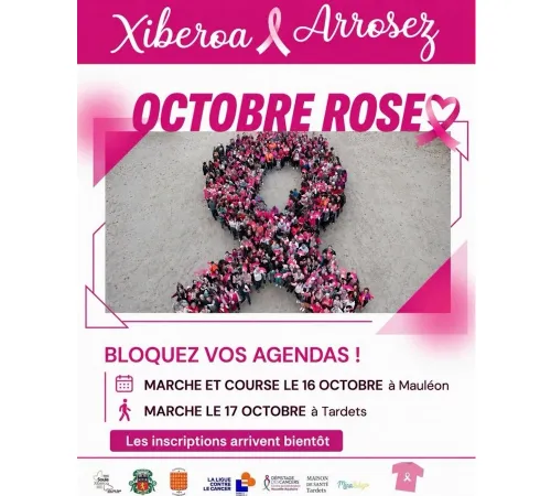 Octobre rose : marche au profit de la lutte contre le cancer du sein