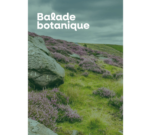 Balade botanique