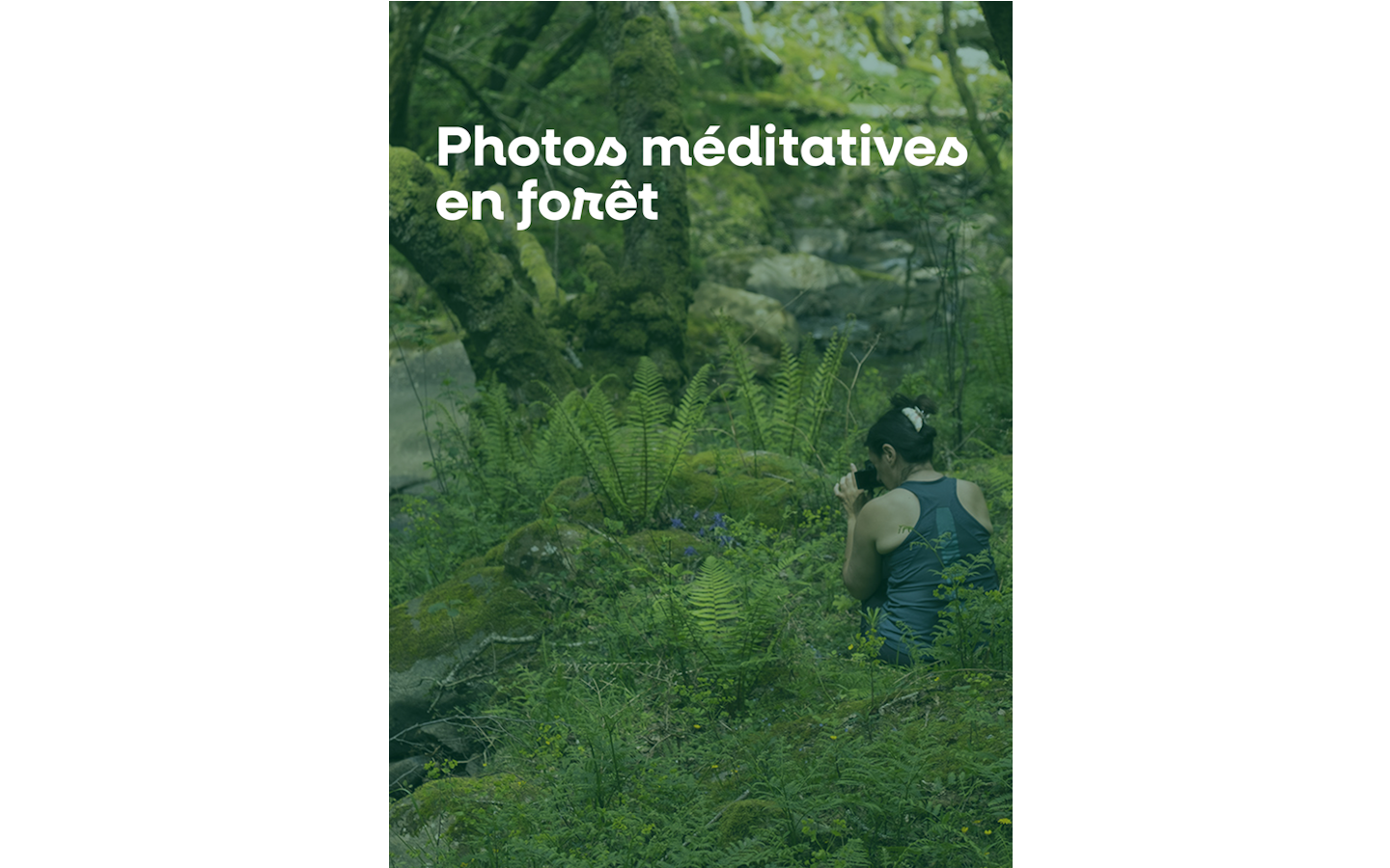 Photos méditatives en forêt