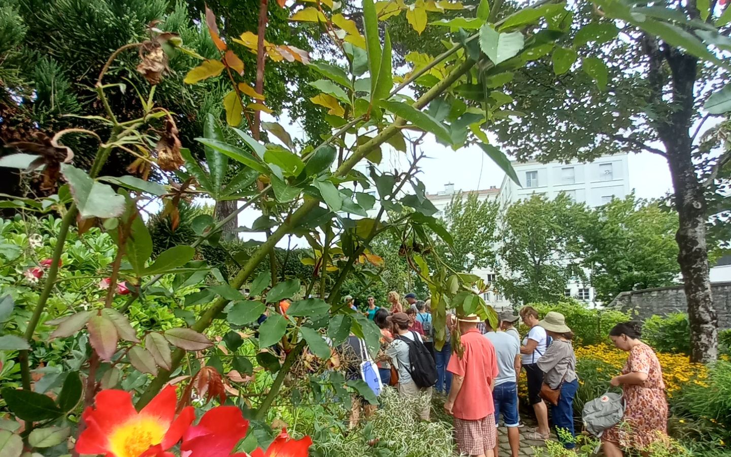 Pause Patrimoine : les jardins acte II : le ja ...