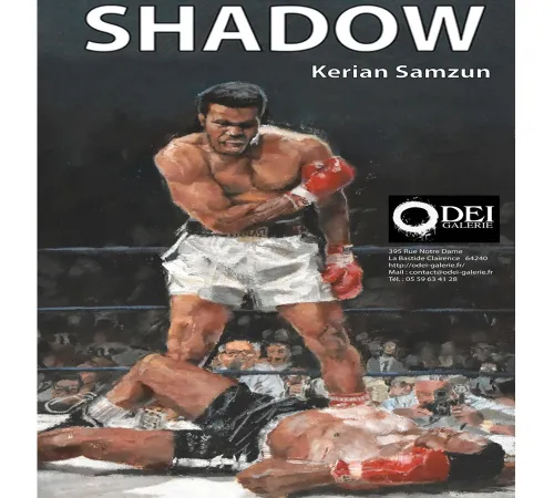 Exposition Shadow de Kerian Samzun