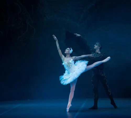 Le Lac des Cygnes - Sofia City Ballet
