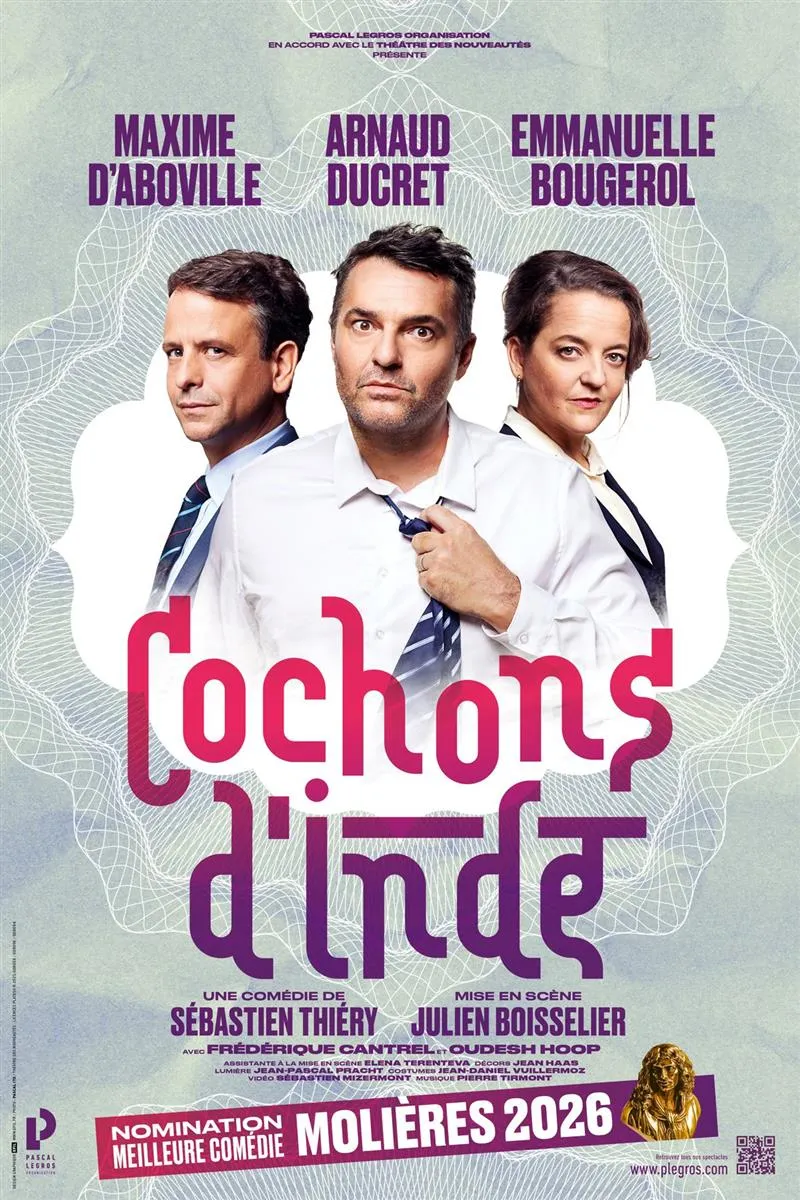 Cochons d'inde - Crédit: Entractes Organisations | CC BY-NC-ND 4.0