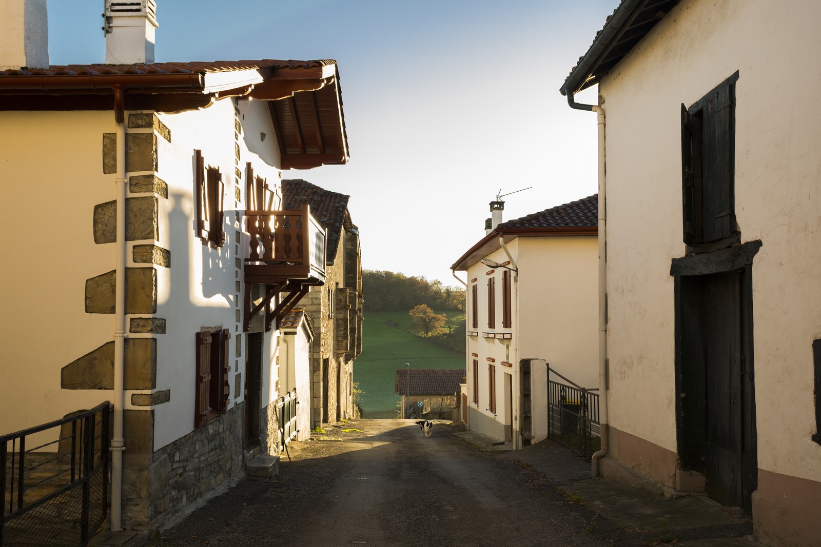 Visite guidée : L'histoire et le patrimoine d' ...