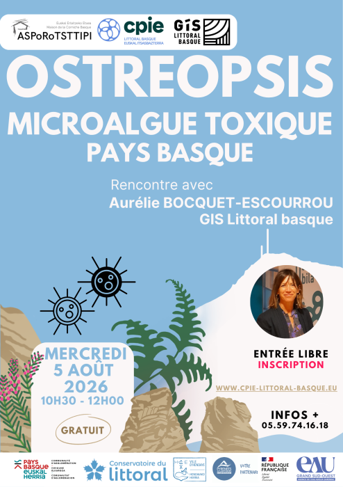 Ostréopsis : microalgue toxique en Pays Basque ...