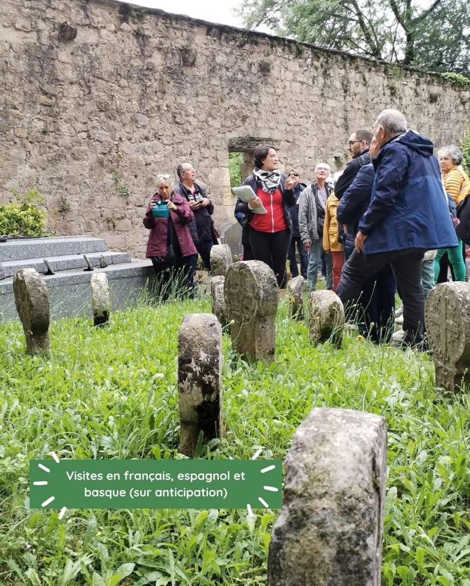 EXCURSIONS GUIDEES A THEMES