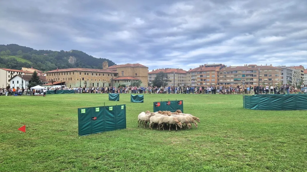 Concours de chiens de ...