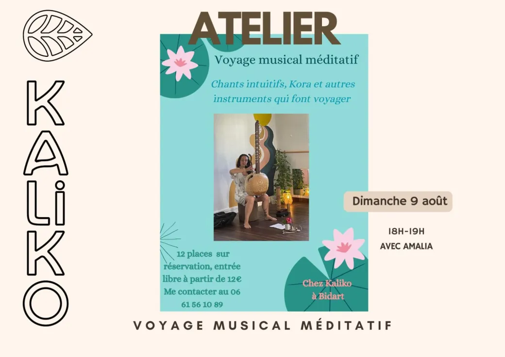 VOYAGE MUSICAL MEDITA ...