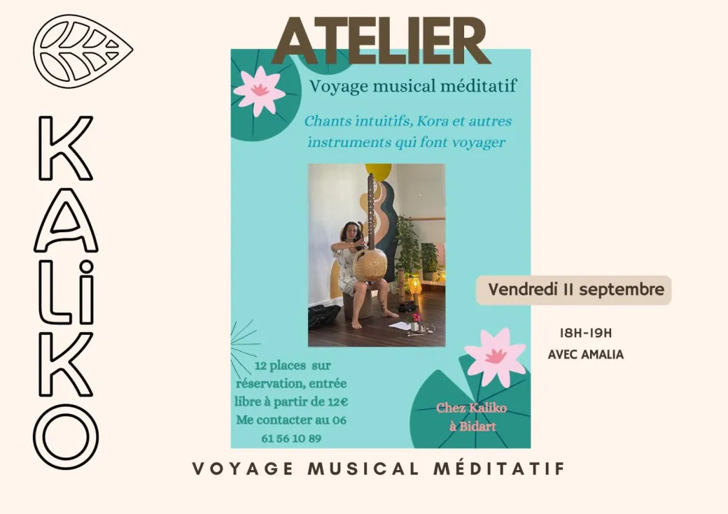 VOYAGE MUSICAL MEDITA ...
