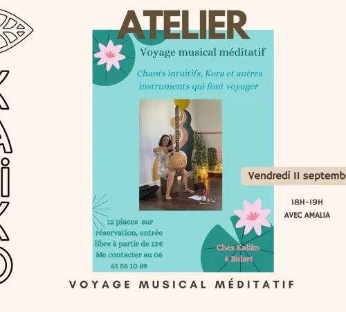 VOYAGE MUSICAL MEDITATIF°KALIKO