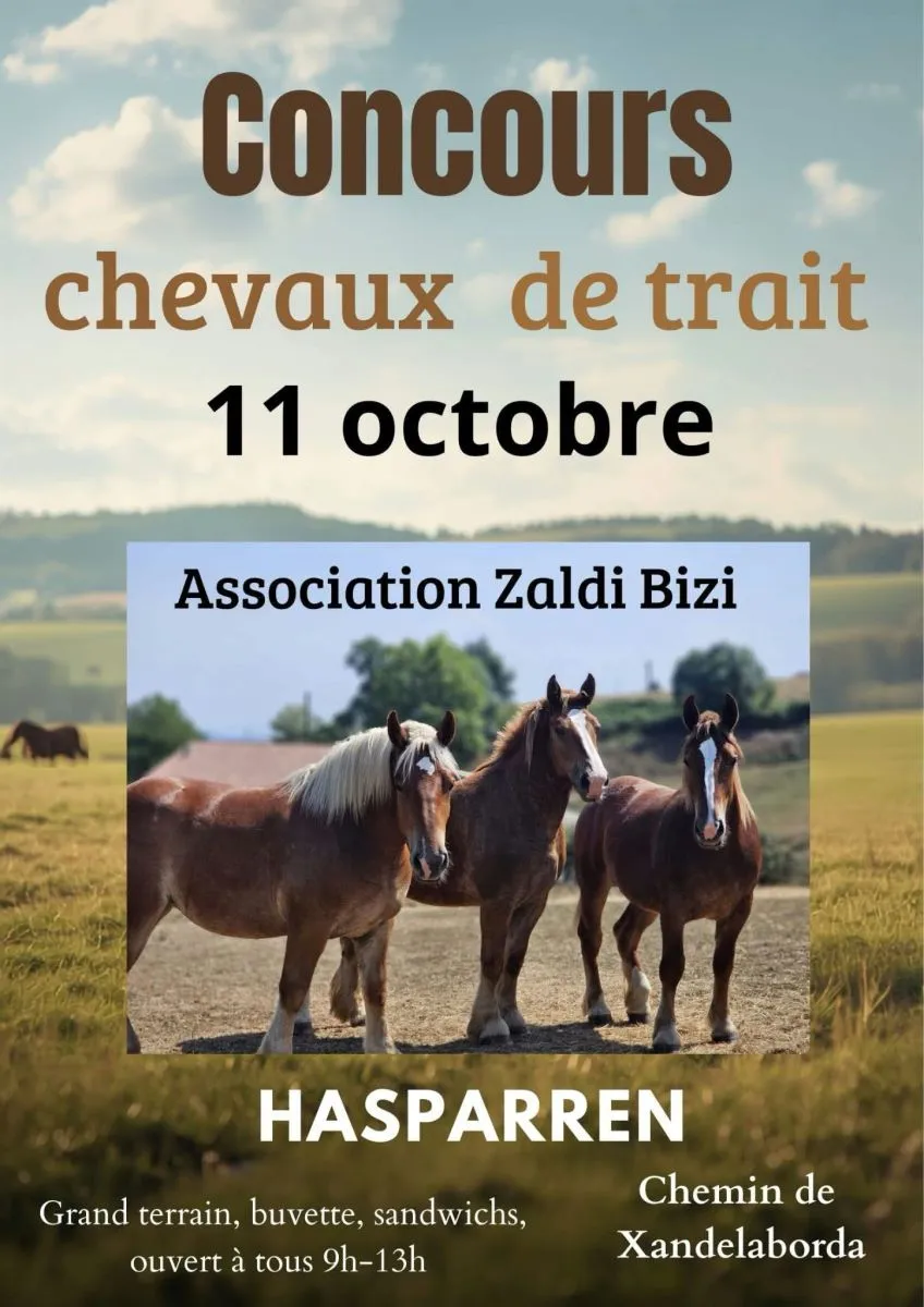 Concours de chevaux d ...