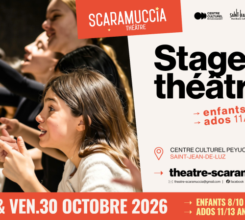Stage de théâtre 8/10 ans et 11/13 ans