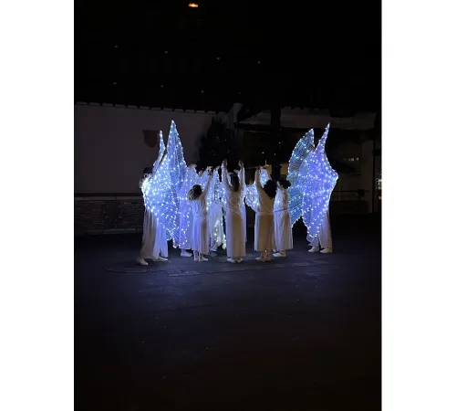 Arcangues en lumière