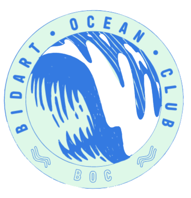 BIDART OCEAN CUP / Fête du club du Bidart Océa ...