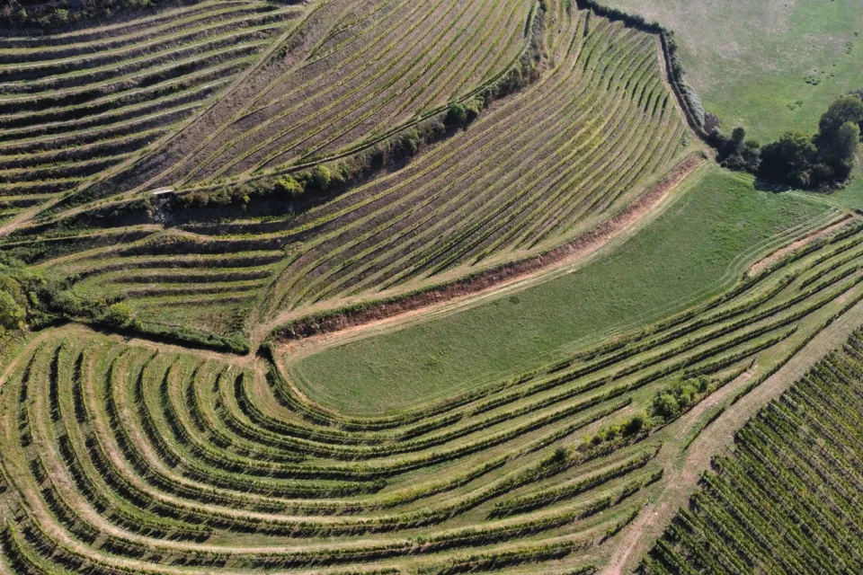The Cave of Irouleguy