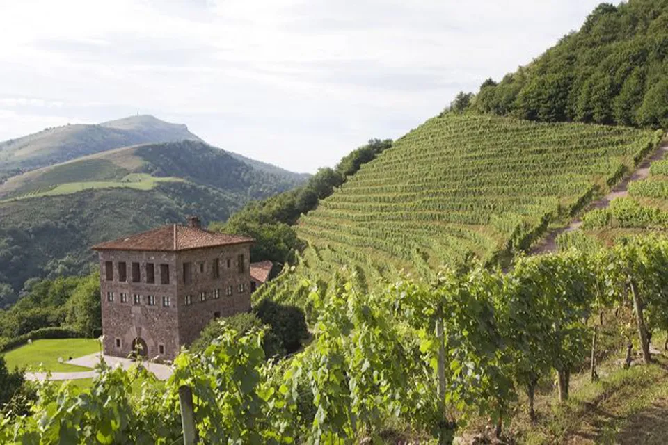Domaine Brana