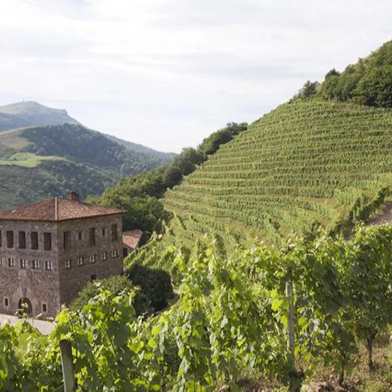 Domaine Brana