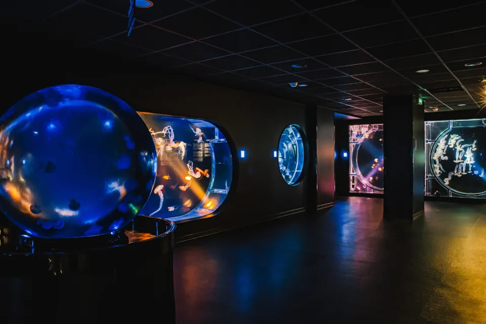 Aquarium de Biarritz