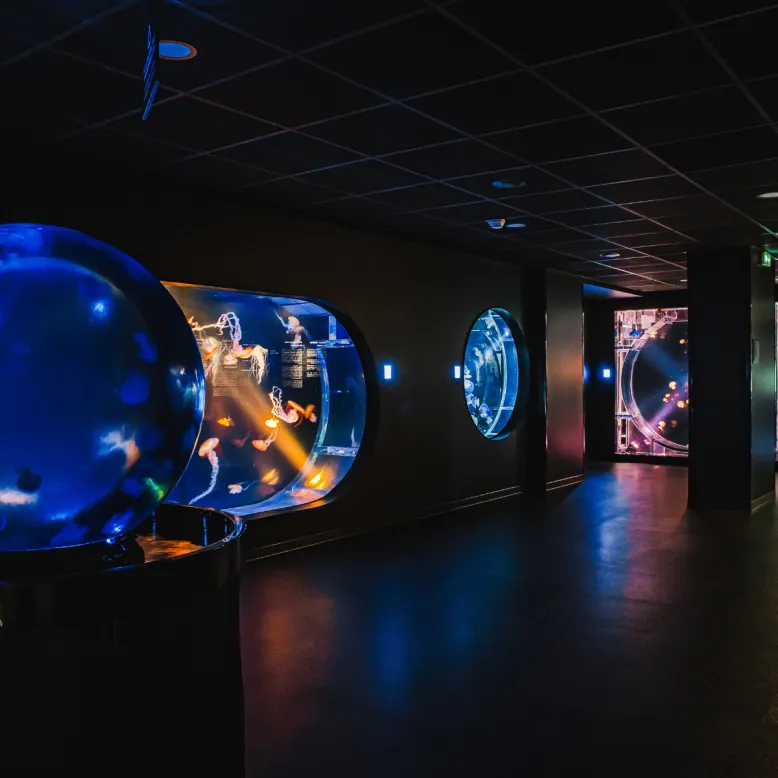Biarritz Aquarium