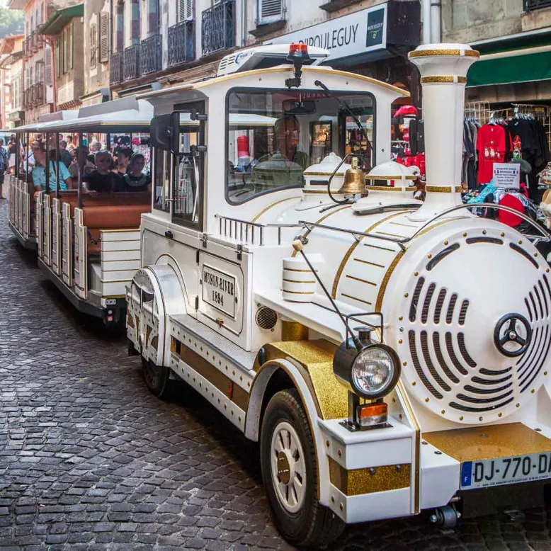Little Tourist Train