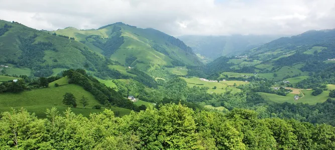 Larrau