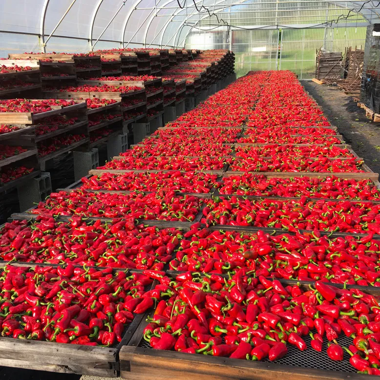 L'Atelier du Piment