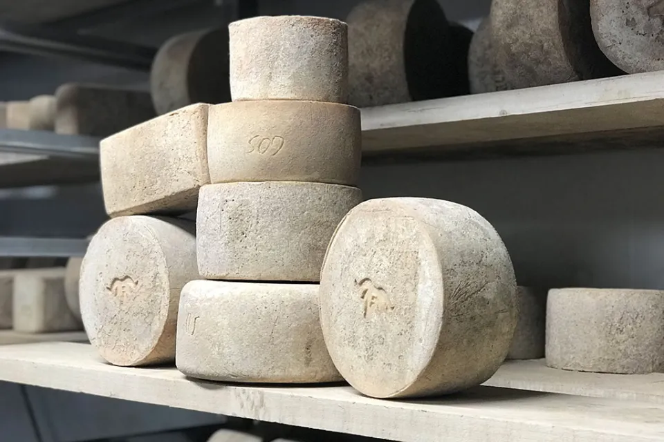 Elizarea Farm Cheese