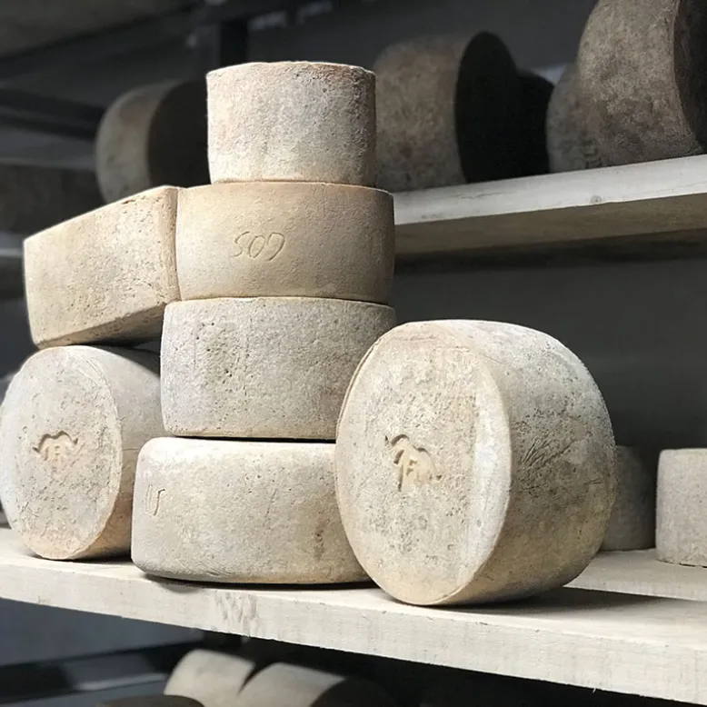Elizarea Farm Cheese