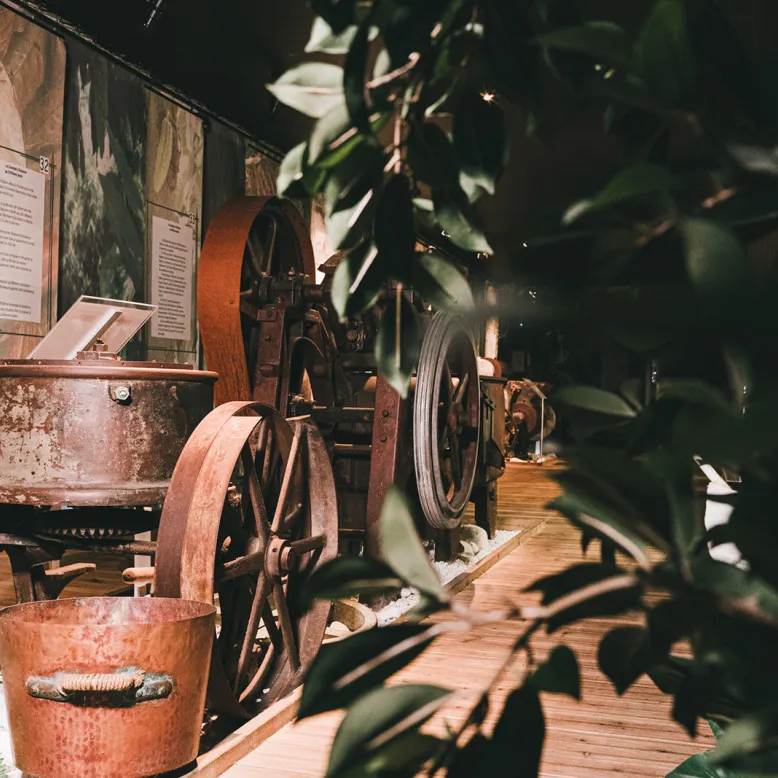 The chocolate artisans of L'Atelier du Chocolat