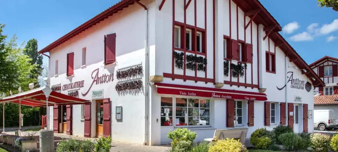 Antton Chocolatier