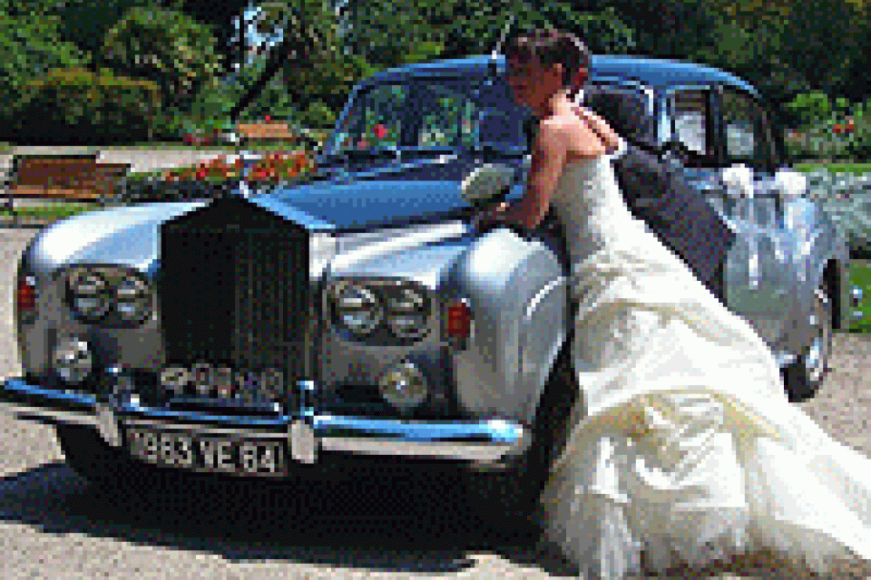 COTE BASQUE LIMOUSINE