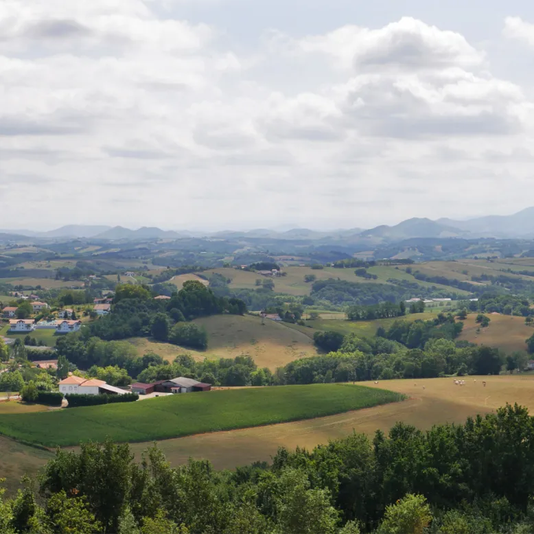 Site de Miremont