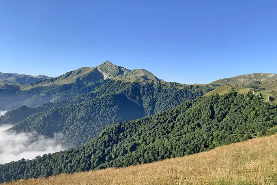 Forêt d'Iraty