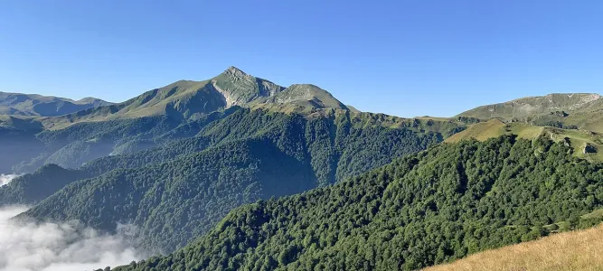 Forêt d'Iraty