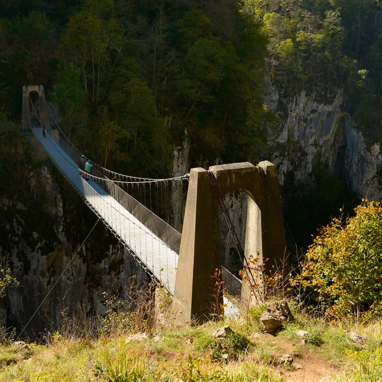 The Holzarte suspension bridge