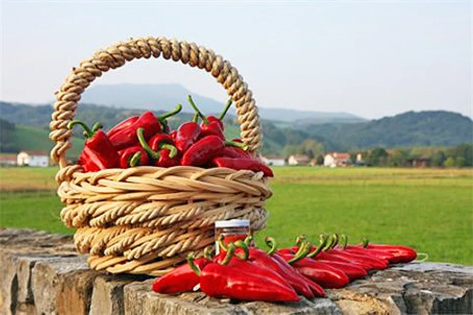 FERME SALABERRY