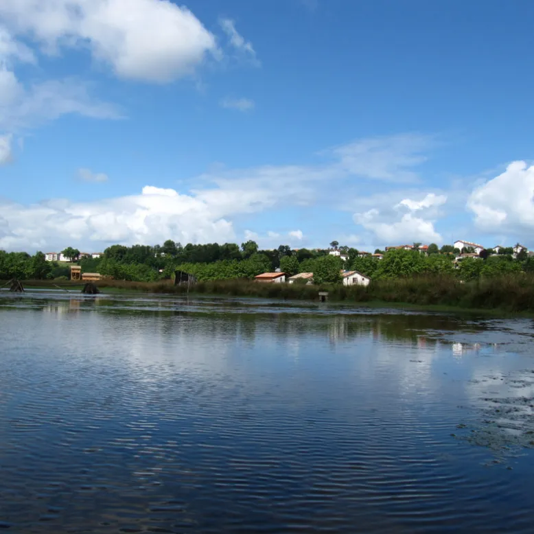 Plain of Ansot - Bayonne