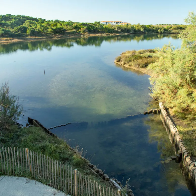 Parc écologique Izadia