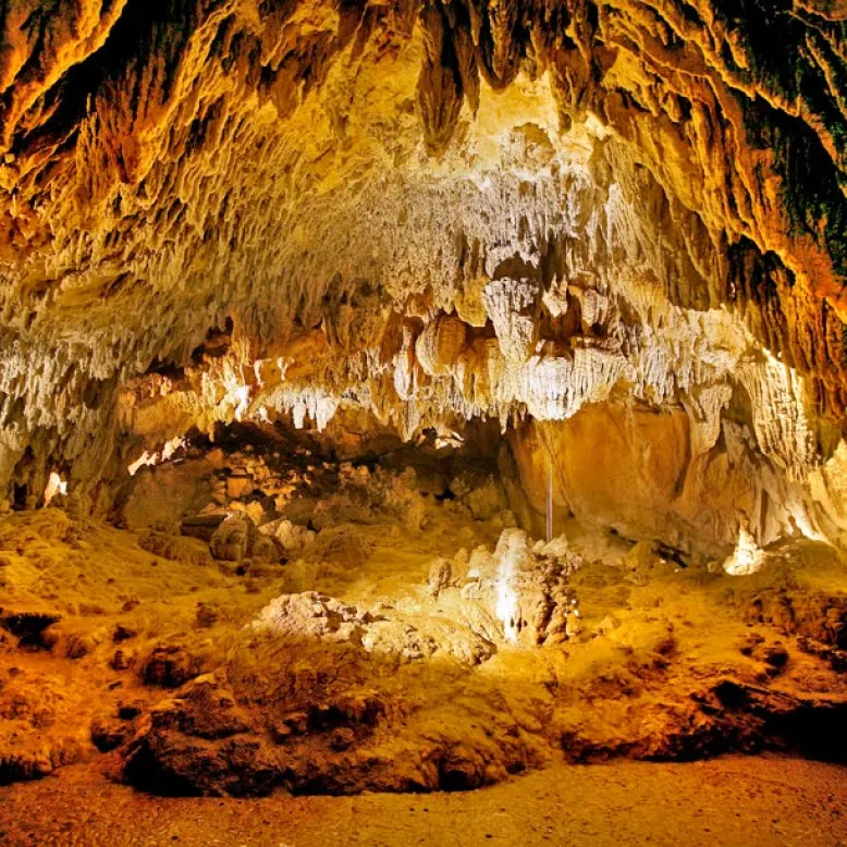 Grottes d'Urdax
